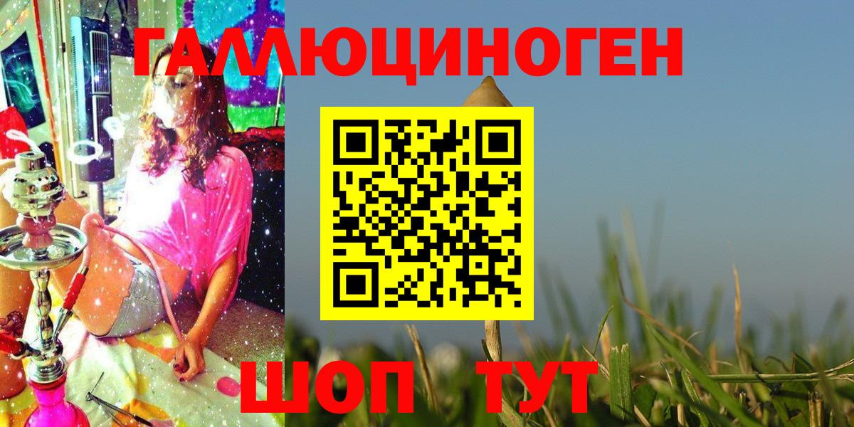 Галлюциногенные грибы Psilocybe Скопин